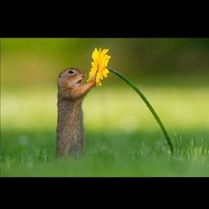 Meet your Posher, Leona